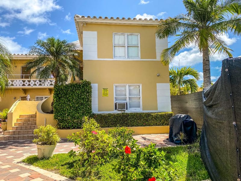 Palms along the Broadwalk